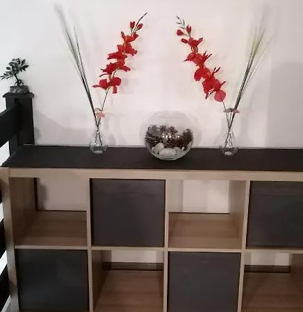 Apartament Little-oasis *